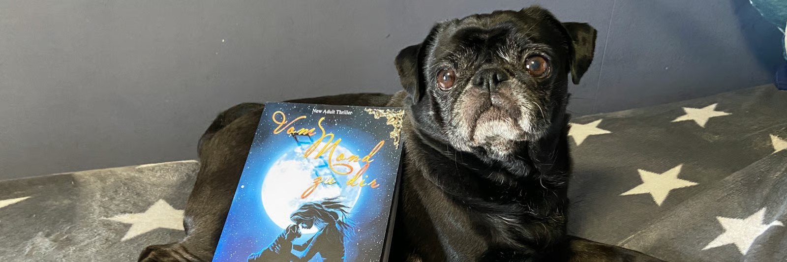 Schwarzer Mops neben einem Buch auf einem Sofa